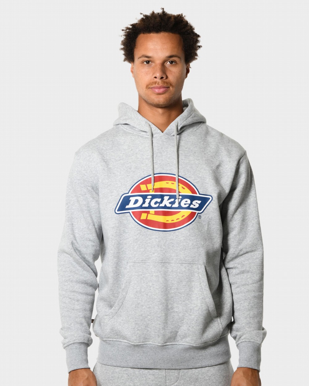 Dickies 2025 sweatshirt price